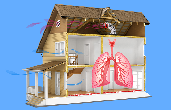 A house with a prominent lung design showing indoor air quality from Eagle Air in Livermore CA